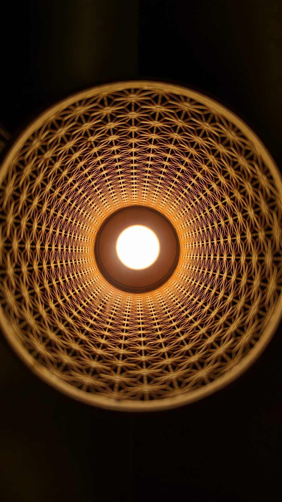 Asahi · foto 5