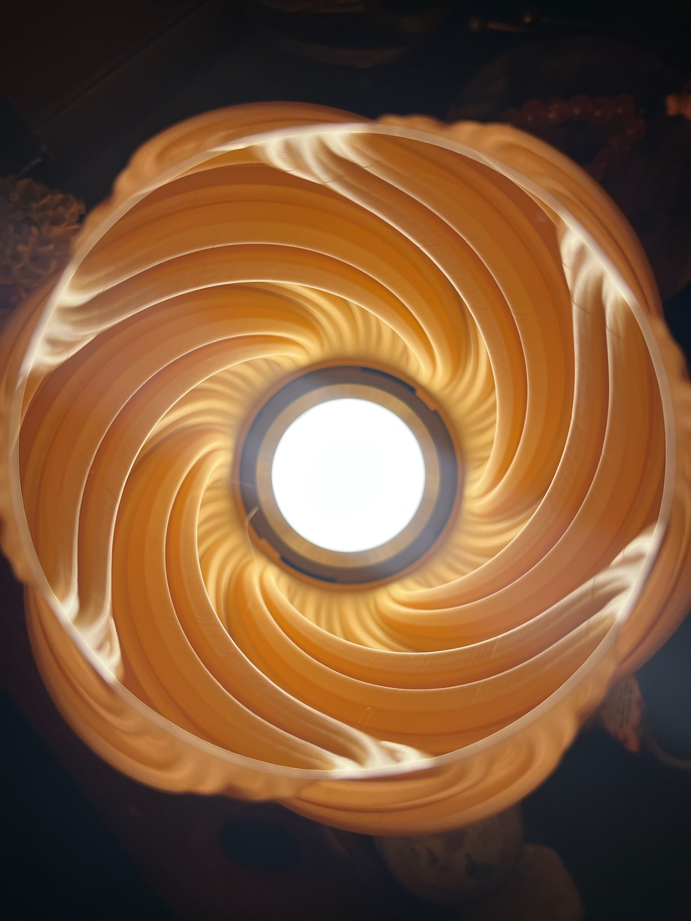 Vortex · foto 4
